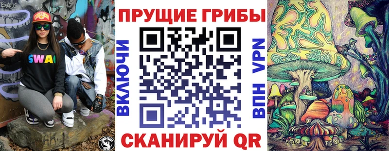 OMG онион  Губкинский  Псилоцибиновые грибы мухоморы 