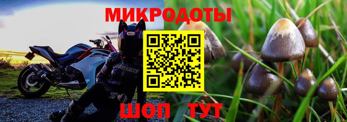 Губкинский  Галлюциногенные грибы MAGIC MUSHROOMS  Псилоцибиновые грибы GOLDEN TEACHER  Вход с VPN 